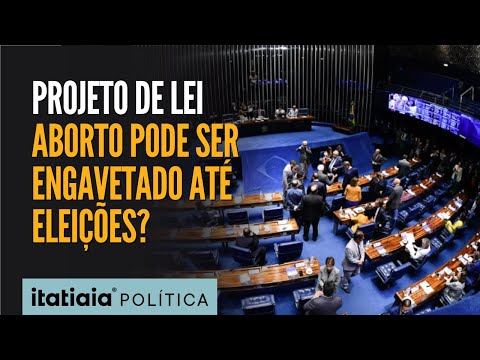 DIA D: LÍDERES DA CÂMARA DOS DEPUADOS DISCUTEM SE PROJETO DO ABORTO SERÁ ENGAVETADO ATÉ AS ELEIÇÕES