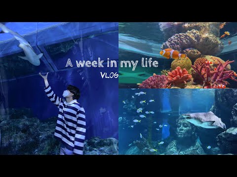 vlog14•ไปดูสัตว์น้ำสุดน่ารั