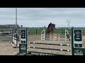 Show jumping horse Les de Coquerie K