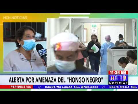 Hay que tomarle atención al oportunista “Hongo Negro” : Colegio Médico de Honduras