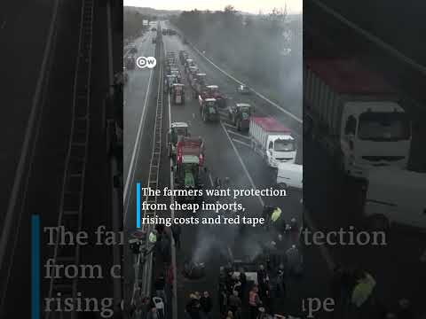 French farmers continue their protests against the government | DW Shorts