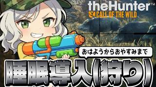 【theHunter: Call of the Wild】睡眠導入(狩)おはようからおやすみまでpart4【Vtuber】