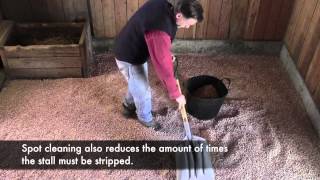 EZ Equine 100 All Natural Pine Animal Bedding YouTube