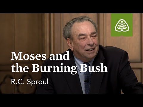 The Meaning of the Burning Bush