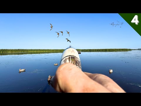 Public Land DUCK HUNTING (Limited Out) | Leroy Killed It!