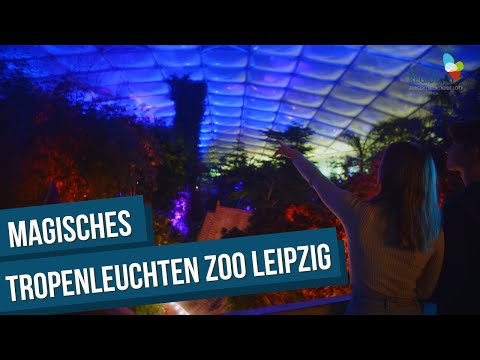 Magisches Tropenleuchten 2024 im Zoo Leipzig