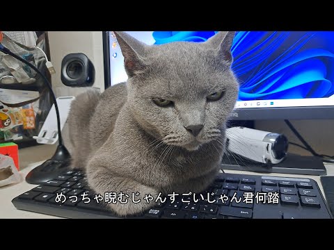 すずまろがどのキーを踏んでるのか当てるゲーム