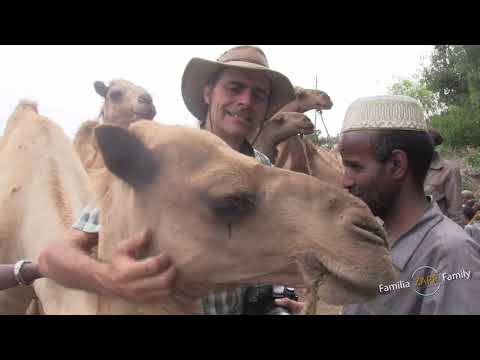 Un mercado de Camellos!!! en Etiopía!!!
