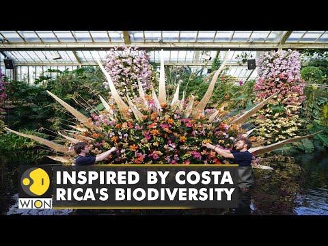 Royal Botanic Gardens Kew in London displays 5,000 blooms | World English News | Top News | WION