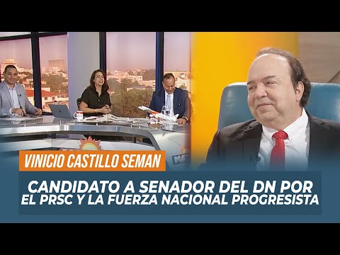Vinicio Castillo Seman, Candidato a senador del DN por el PRSC y la Fuerza Nacional Progresista