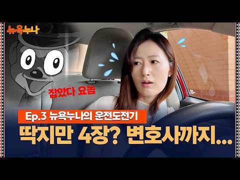 교통딱지 받자 <strong>변호사</strong> 광고가 왔다… <strong>미국</strong> 자본주의를 체감한 순간 / 뉴욕누나 (김주영 기자)