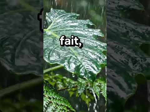 Même si tu tombes, Jésus t’aime encore : #AmourDeJésus #Rédemption #DieuEstAmour