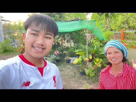 น้องมิกกลับบ้านมา|เจอคุณแม่ท