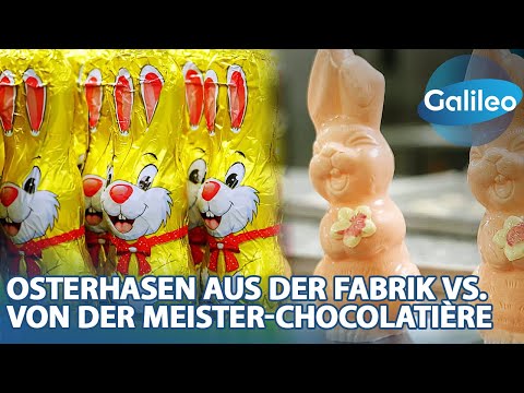 35Mio. Schokohasen pro Jahr! Osterhasen aus der Fabrik vs. von der Meister-Chocolatière