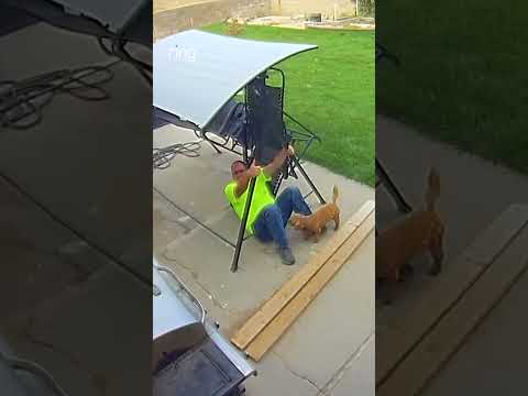 That will interrupt your afternoon break 😅 On the bright side, everyone is okay!