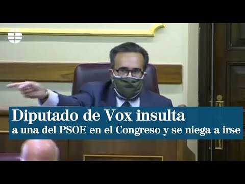 Un diputado de Vox llama bruja a otra del PSOE y se niega a abandonar el Pleno del Congreso