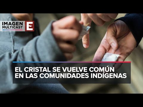 Preocupa el aumento del consumo de drogas sintéticas en Nayarit