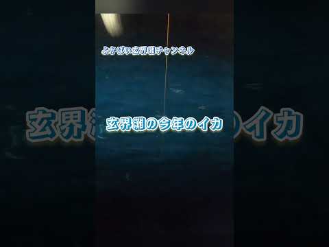 2025年夏 イカ釣り専門遊漁船に乗ってみた!