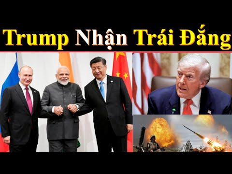 Mỹ Âu không kịp trở tay sau tháng ngày bố tướng|Trung Quốc từ bỏ thị trường Mỹ