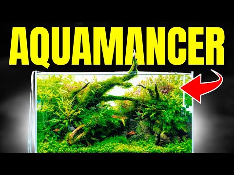 What Your Favorite Aquarium Brand Says About You Your Aquarium Brand Says A LOT about you! From Fluval to ADA - we are roasting you in this video!

D
