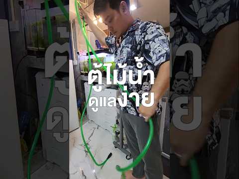 ตู้ปลาไม้น้ำดูแลยังไง[สายย