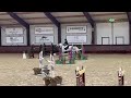 Show jumping horse Fijn braaf springpaard te koop
