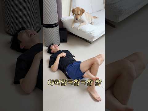 사랑 테스트 #포캣멍센터 #리트리버 #<strong>유기견</strong>