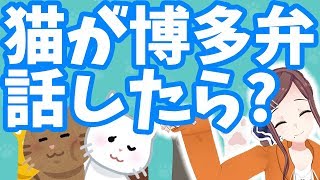 【猫の日やけん】博多弁を猫語にしたらバリカオス【たいこにゃん】