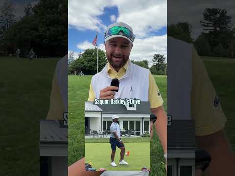 Rating the The Eagles Golf Swings #shorts