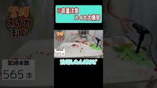 油断大敵☆輪ゴムスイカ大爆発www #vtuber