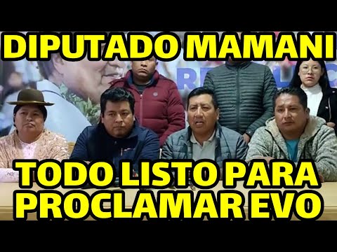 DIPUTADO FREDDY MAMANI RESPONSABILIZA GOBIERNO ARCE SI HUBIERA CONFRONT4CIÓN EN DIA MAÑANA EN ALTO