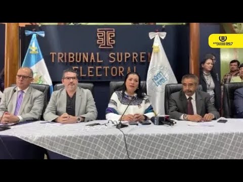 EXPERTOS SE PRONUNCIAN SOBRE CORRUPCION EN LOS PARTIDOS POLITICOS EN GUATEMALA