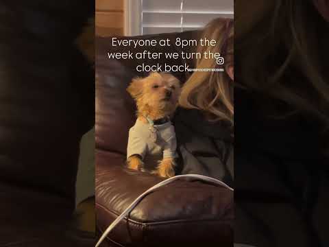 “ Tired Boss” 🙋🏿‍♂️ 😴 🤣