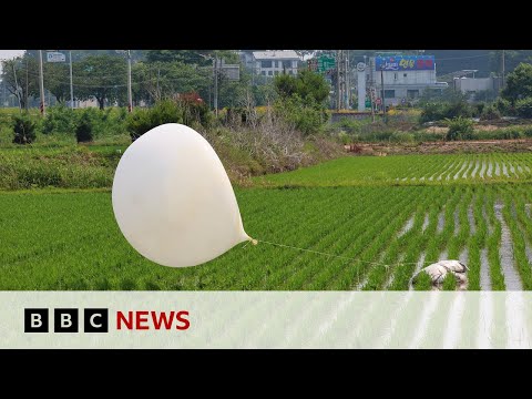 South Korea to resume loudspeaker broadcasts over North Korea border in balloon row | BBC News