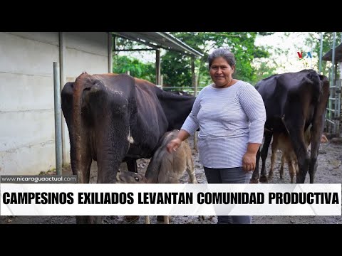 Campesinos nicaragüenses impulsan modelo de producción autosustentable en Costa Rica