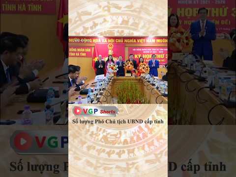 Số lượng Phó Chủ tịch UBND cấp tỉnh