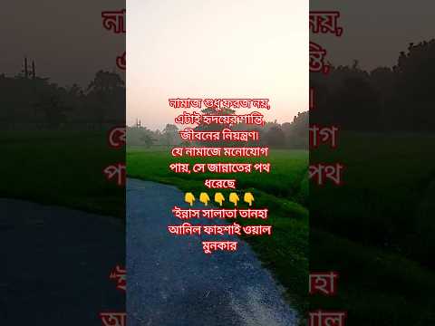 আপনি কি জানেন, নামাজ না পড়লে জীবনে শান্তি কেন আসে না❓#নামাজ #ইমান #আল্লাহ #shortvideo #vairalvideo