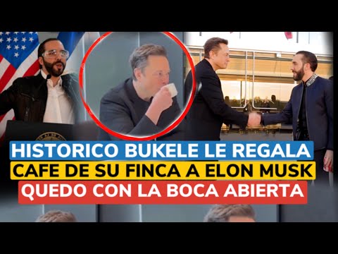 Bukele le Regala café salvadoreños a Elon Musk