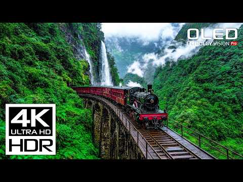 BEST OF OLED COLORS Dolby Vision 4K HDR 120 FPS Video