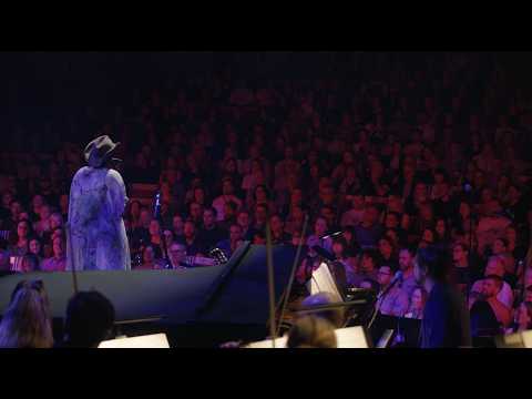 The Cat Empire - Lost Song (Live at Sydney Opera House) (Official Live Video)