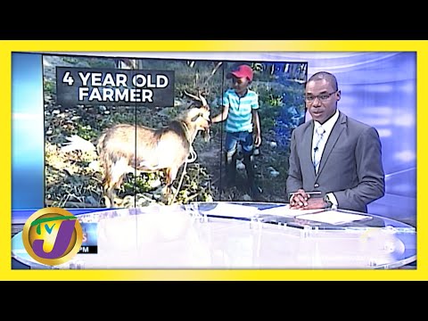 4 Yr Old Farmer in St. Elizabeth Jamaica | TVJ News - March 29 2021