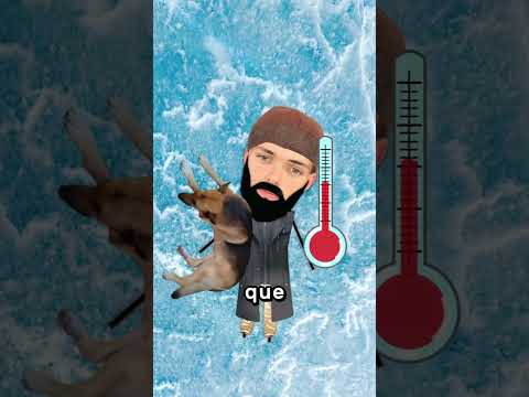 El Perro Estuvo A <strong>Su</strong> Lado 🐶