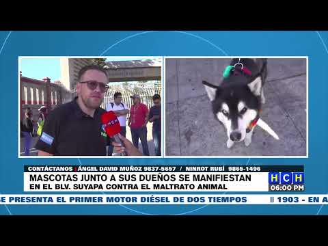 Mascotas junto a sus dueños se manifiestan en Tegucigalpa  gritando ¨NO AL MALTRATO ANIMAL¨