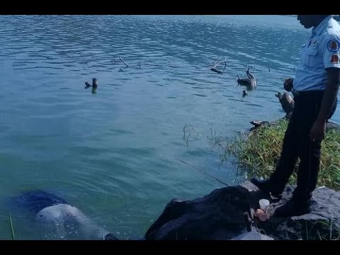 Localizan cadáver en la circunvalación al lago de Amatitlán