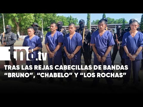 Causaban terror en el Caribe: Capturan a cabecillas de «Bruno», «Chabelo» y «Los Rochas» - Nicaragua