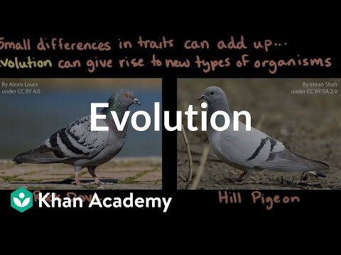 Evolution | Middle school biology | Khan Academy