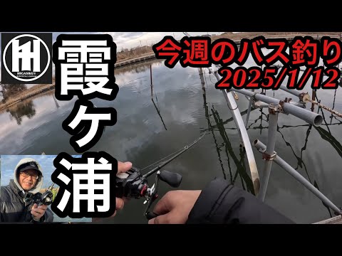 バス釣り今週の霞ヶ浦！冬のバズベイト&スピナーベイト2025年1月12日