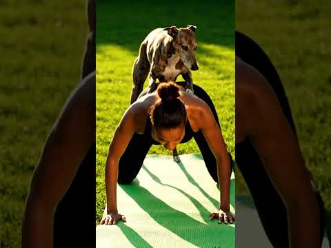 My Big Boy Never Lets Me Stretch Alone #goldenretriever #goldenretreiver #puppy #goldenretreivers