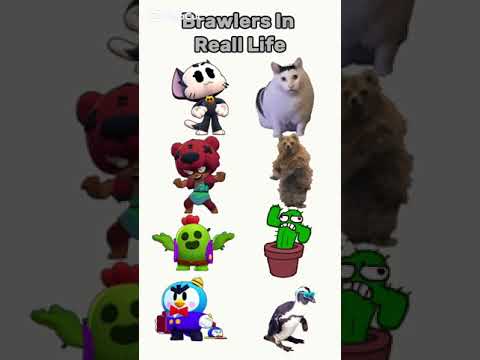 Brawlers In Reall Life #brawlstars#brawl#supercell#shorts#short#reall#life#brawler#memes#meme#huhcat