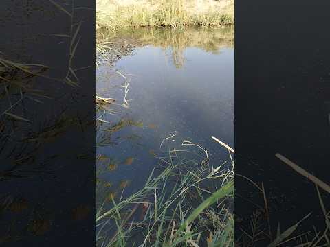 #المراره #السفره #البخل #التغطيه #العريفي #القرميد #الفوارس #الوكره #الثامن